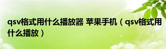 qsv格式用什么播放器 苹果手机（qsv格式用什么播放）