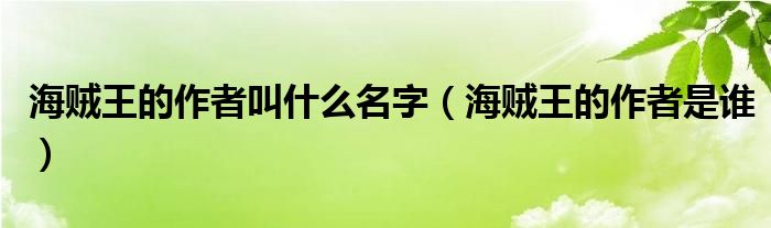 海贼王的作者叫什么名字（海贼王的作者是谁）