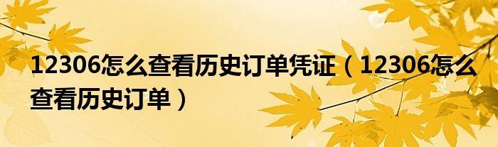 12306怎么查看历史订单凭证（12306怎么查看历史订单）