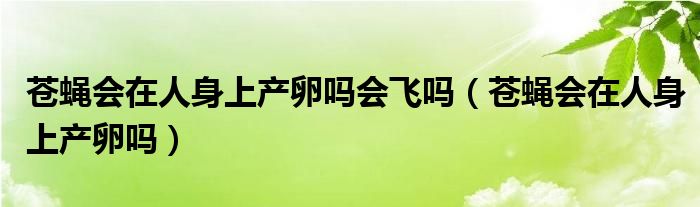 苍蝇会在人身上产卵吗会飞吗（苍蝇会在人身上产卵吗）