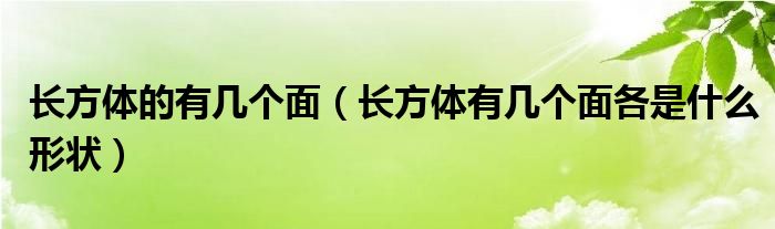 长方体的有几个面（长方体有几个面各是什么形状）