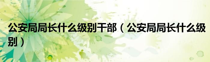 公安局局长什么级别干部（公安局局长什么级别）