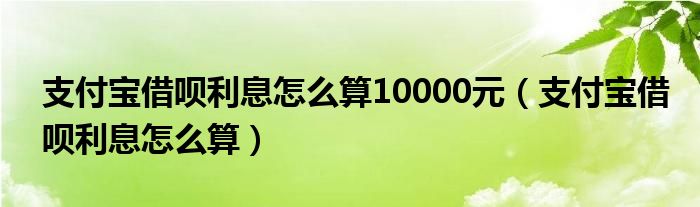 支付宝借呗利息怎么算10000元（支付宝借呗利息怎么算）