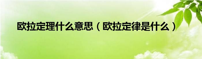 欧拉定理什么意思（欧拉定律是什么）