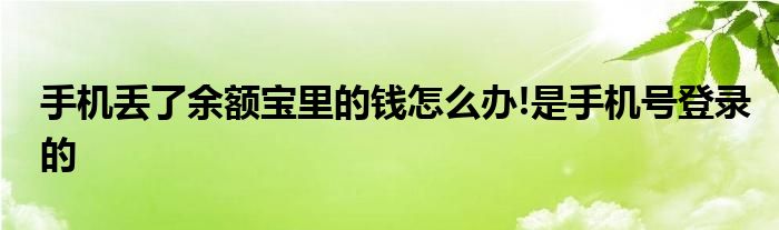 手机丢了余额宝里的钱怎么办!是手机号登录的