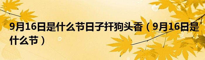 9月16日是什么节日子扞狗头香（9月16日是什么节）