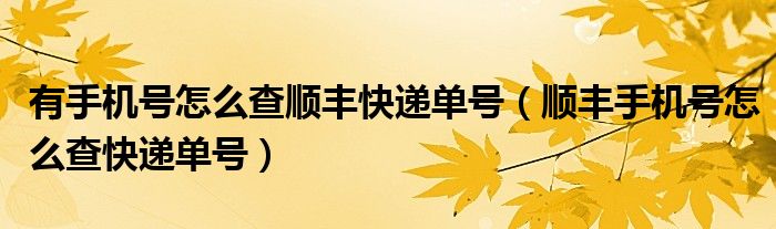 有手机号怎么查顺丰快递单号（顺丰手机号怎么查快递单号）