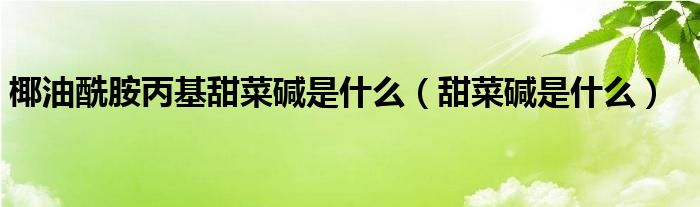 椰油酰胺丙基甜菜碱是什么（甜菜碱是什么）