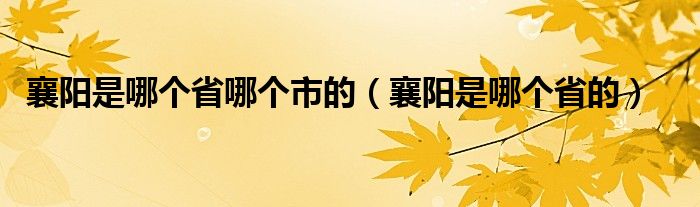 襄阳是哪个省哪个市的（襄阳是哪个省的）