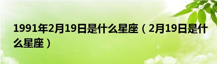 1991年2月19日是什么星座（2月19日是什么星座）