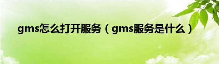 gms怎么打开服务（gms服务是什么）