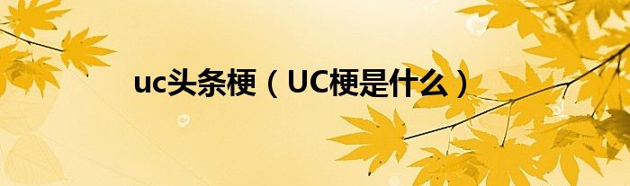 uc头条梗（UC梗是什么）