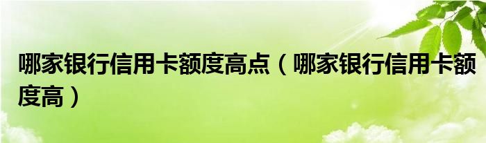 哪家银行信用卡额度高点（哪家银行信用卡额度高）