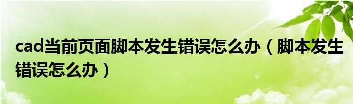 cad当前页面脚本发生错误怎么办（脚本发生错误怎么办）