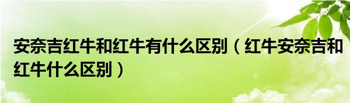 安奈吉红牛和红牛有什么区别（红牛安奈吉和红牛什么区别）