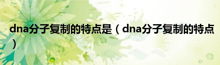 dna分子复制的特点是（dna分子复制的特点）