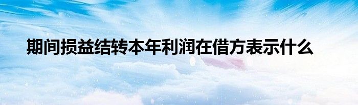 期间损益结转本年利润在借方表示什么