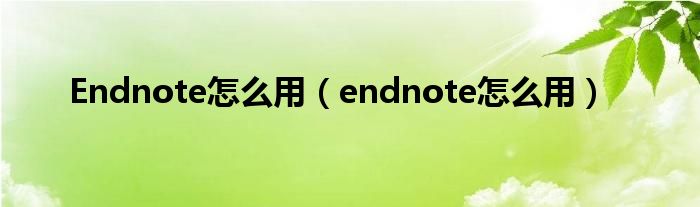 Endnote怎么用（endnote怎么用）