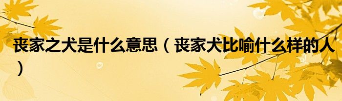 丧家之犬是什么意思（丧家犬比喻什么样的人）