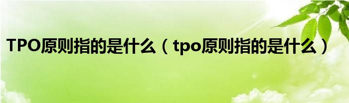 TPO原则指的是什么（tpo原则指的是什么）