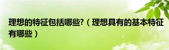 理想的特征包括哪些?（理想具有的基本特征有哪些）