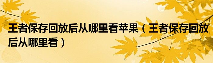 王者保存回放后从哪里看苹果（王者保存回放后从哪里看）