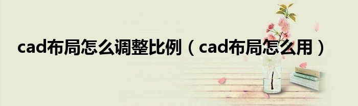 cad布局怎么调整比例（cad布局怎么用）