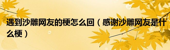 遇到沙雕网友的梗怎么回（感谢沙雕网友是什么梗）