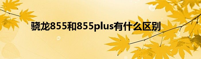 骁龙855和855plus有什么区别