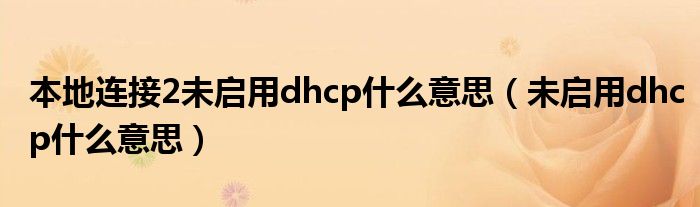 本地连接2未启用dhcp什么意思（未启用dhcp什么意思）