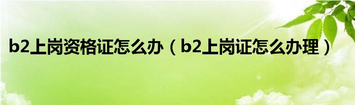 b2上岗资格证怎么办（b2上岗证怎么办理）