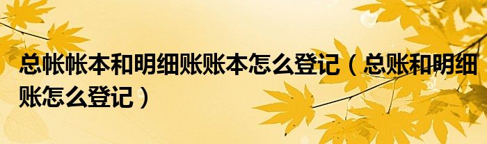 总帐帐本和明细账账本怎么登记（总账和明细账怎么登记）