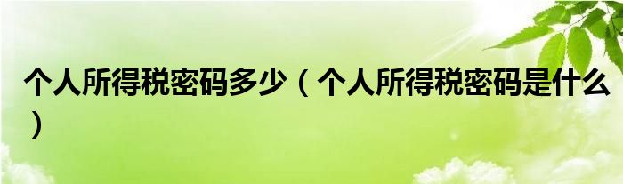 个人所得税密码多少（个人所得税密码是什么）