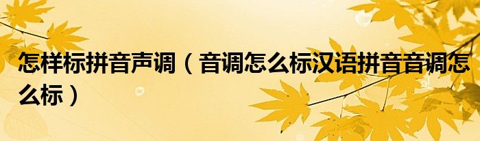 怎样标拼音声调（音调怎么标汉语拼音音调怎么标）