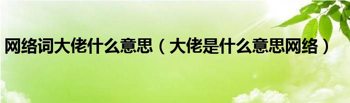 网络词大佬什么意思（大佬是什么意思网络）