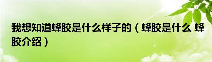 我想知道蜂胶是什么样子的（蜂胶是什么 蜂胶介绍）