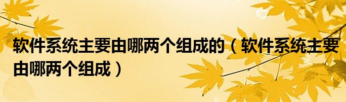 软件系统主要由哪两个组成的（软件系统主要由哪两个组成）