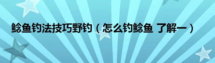 鲶鱼钓法技巧野钓（怎么钓鲶鱼 了解一）