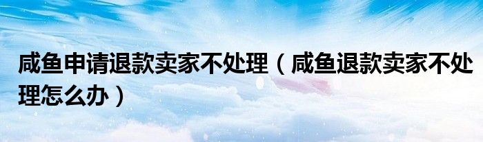 咸鱼申请退款卖家不处理（咸鱼退款卖家不处理怎么办）