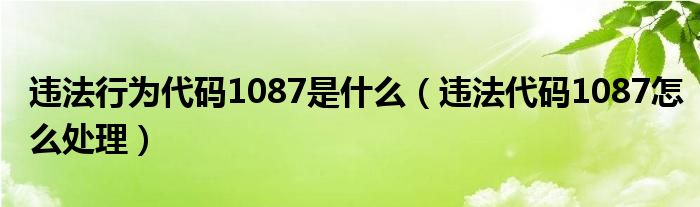 违法行为代码1087是什么（违法代码1087怎么处理）