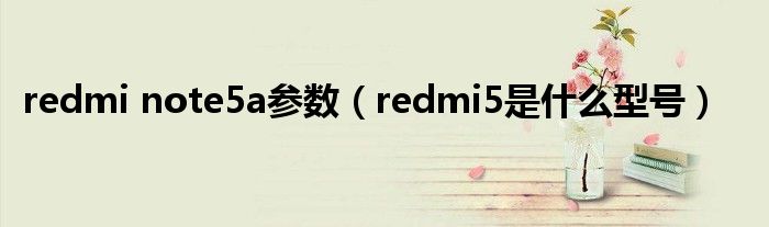 redmi note5a参数（redmi5是什么型号）