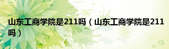 山东工商学院是211吗（山东工商学院是211吗）