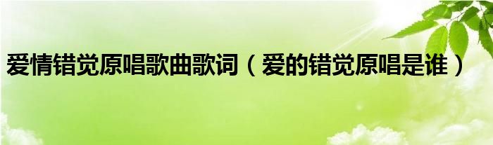 爱情错觉原唱歌曲歌词（爱的错觉原唱是谁）