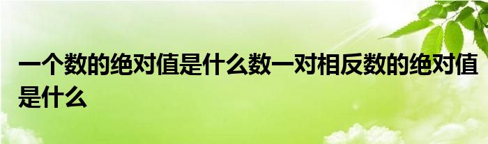 一个数的绝对值是什么数一对相反数的绝对值是什么