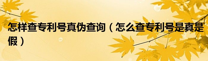 怎样查专利号真伪查询（怎么查专利号是真是假）