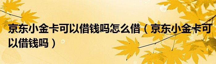 京东小金卡可以借钱吗怎么借（京东小金卡可以借钱吗）