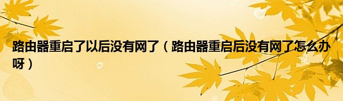 路由器重启了以后没有网了（路由器重启后没有网了怎么办呀）