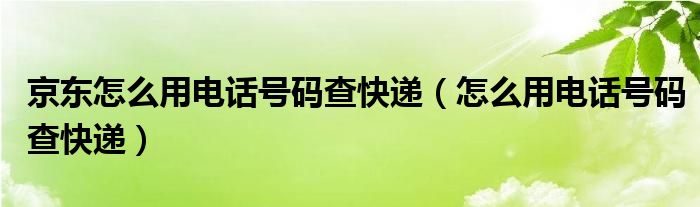 京东怎么用电话号码查快递（怎么用电话号码查快递）