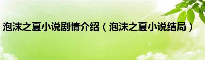 泡沫之夏小说剧情介绍（泡沫之夏小说结局）