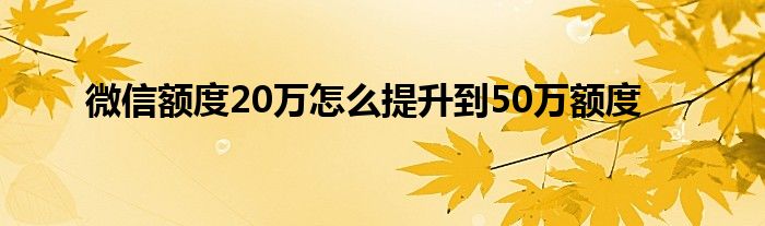 微信额度20万怎么提升到50万额度